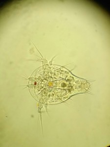 IMG_20190207_160942.jpg