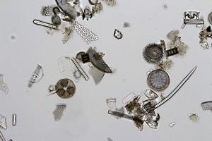 Франция_IMG_9873.JPG