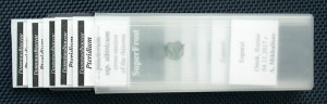 DSCN3979.JPG