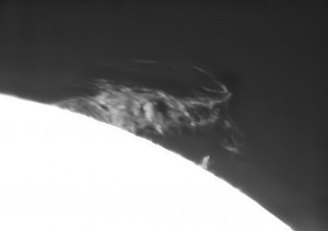 Sun_-13-43-17_Dec15x10.jpg