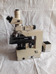 Dl6NC_pi-gM.jpg