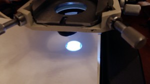 20190305_005627.jpg
