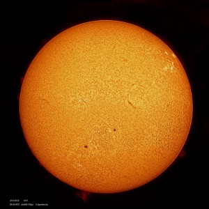 2012-09-30_10-57_x12Fr_color_60%.jpg