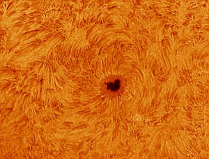 Sun_H-a_134629_1_color.jpg