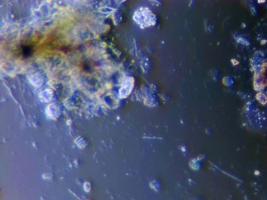 10-20-40-x-0031.jpg
