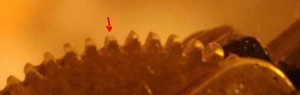 P_20190418_050142.jpg