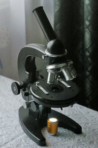 SG1L5349.jpg