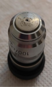 10x1.25 ирис.JPG