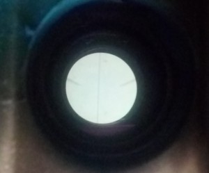 20190629_155724.jpg