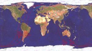 Mercury_141112.PNG