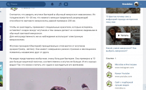 Жгутики 1.png