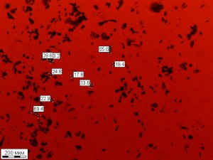 6388.jpg