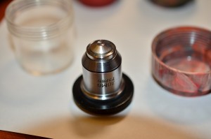 DSC_7056.jpg