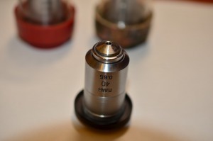 DSC_7052.jpg