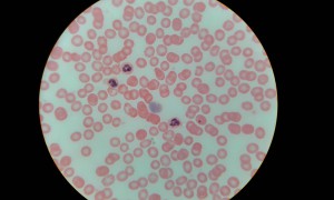 20200128_224100.jpg