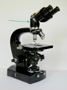 CZJ Nf - Img 01.jpg