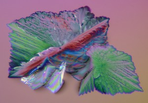 6856.jpg