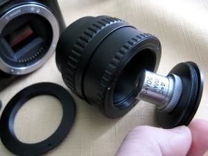 1IMG_8774.jpg