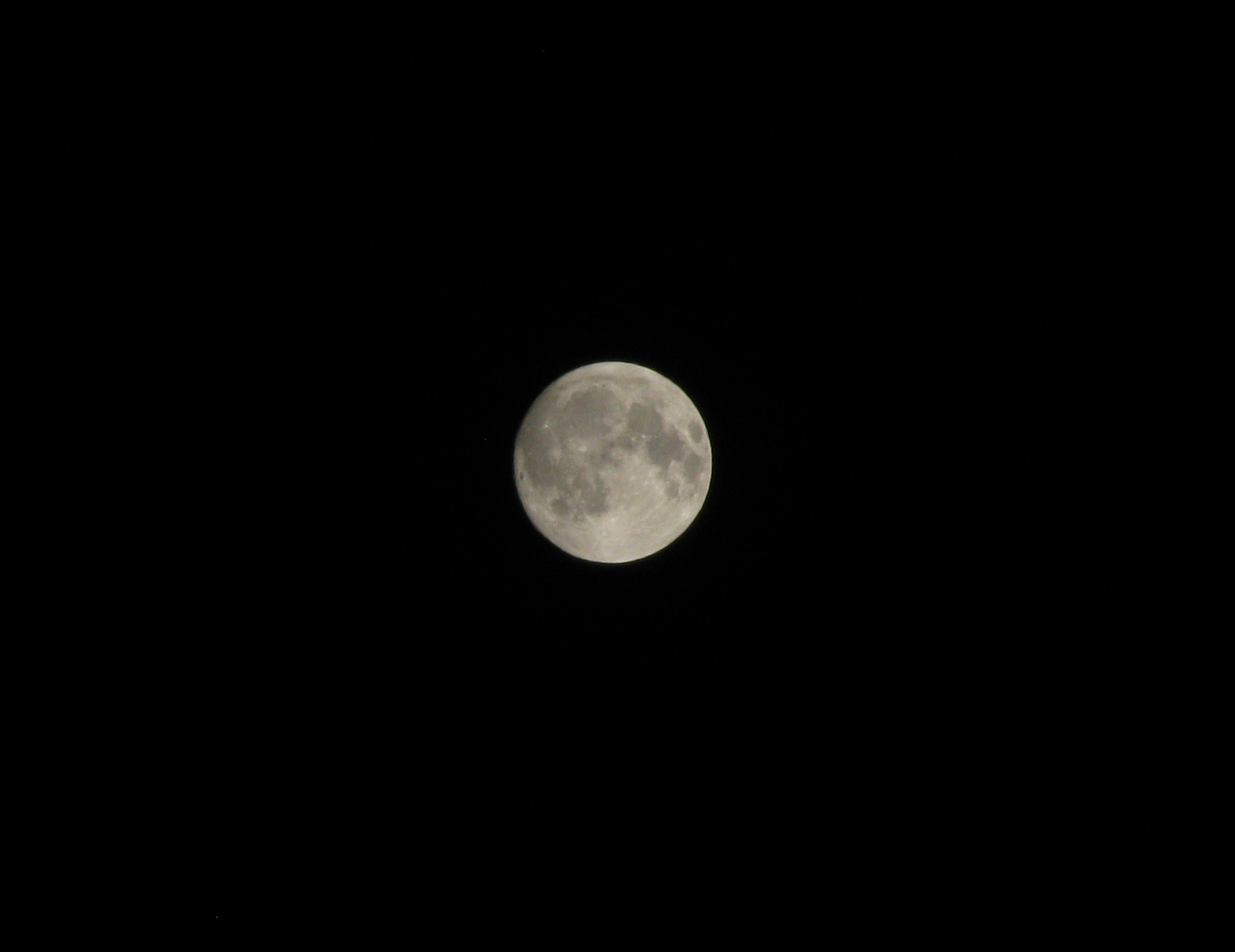 IMG_0066.jpg