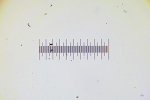 Kit10pl_PF_1.JPG