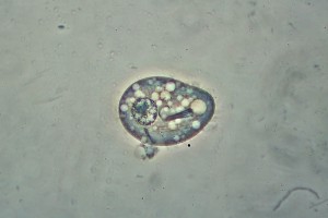 0_5d751_890fb835_orig2.jpg