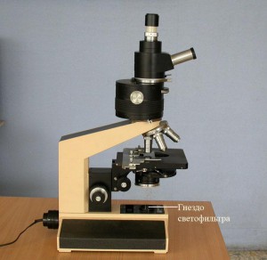 Biolar PI.jpg