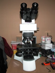 DSCN7410.JPG