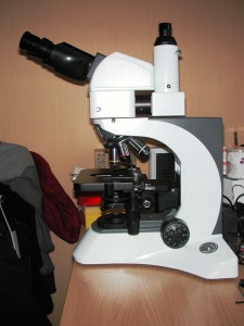 DSCN7411.JPG
