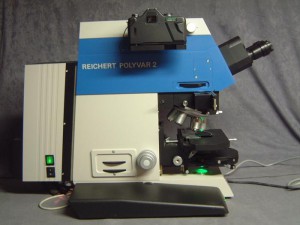 POLYVAR-2.jpg