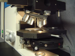 POLYVAR-2 (3).jpg