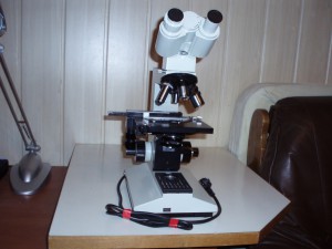 P1010014.JPG