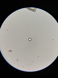 IMG_20200828_000646_1.jpg