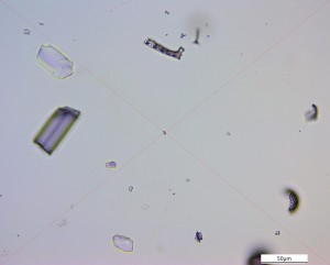 IMG-2020-08-28-00-25-34.jpg