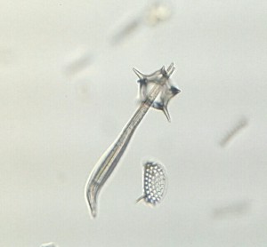 2020-09-21 19.43.42.jpg