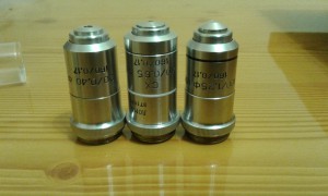 IMG-20201005-WA0001.jpg