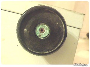 picachoo_813B57.jpg