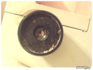 picachoo_8602B6.jpg