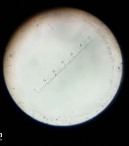 IMG_20201204_201819_2.jpg