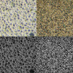 imgonline-com-ua-Compressed-knzzmJAzbachqXu2.jpg