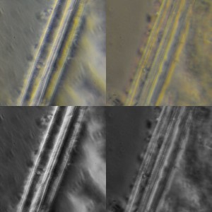 imgonline-com-ua-Compressed-uRsa7DSQSjdb.jpg