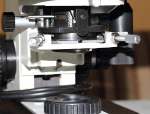 microscopes_2012_mmed2_cond_front.jpg