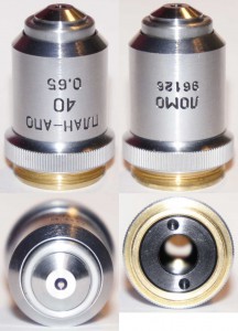 papo-40x0,65.jpg