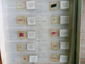 IMG_20210406_091225.JPG