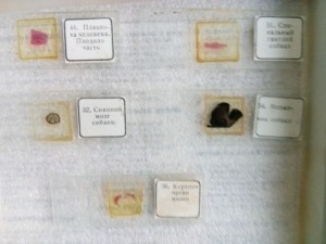 IMG_20210406_091510.JPG