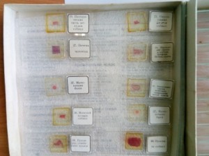 IMG_20210406_091400.JPG