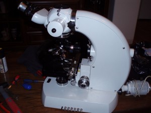 P1010003.JPG