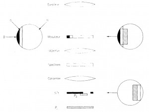 640F2F50-DE21-48EB-BE4C-01E6E8B8A927.jpeg
