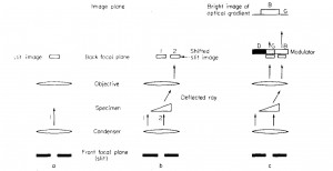 D558D19D-D001-4460-AC5D-B097E9705299.jpeg