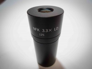 P1080296-1.JPG