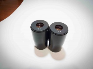 P1080280-1.JPG